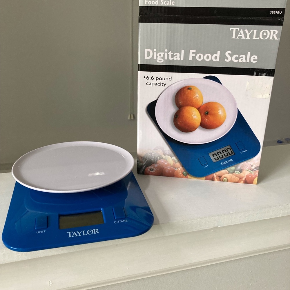 Taylor Blue Kitchen Scale with White Ceramic Plate